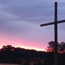 Dinosaur Adventure Land