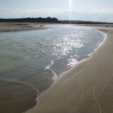 Riserva naturale Oasi del Simeto