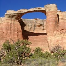 Rattlesnake Canyon