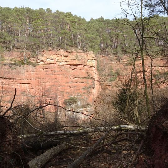 Sandsteinbrüche am Burzelberg bei Frau Nauses