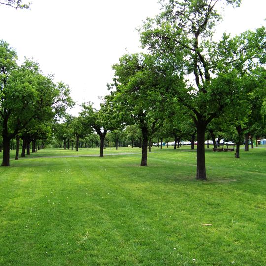 Orchard in Spořilov