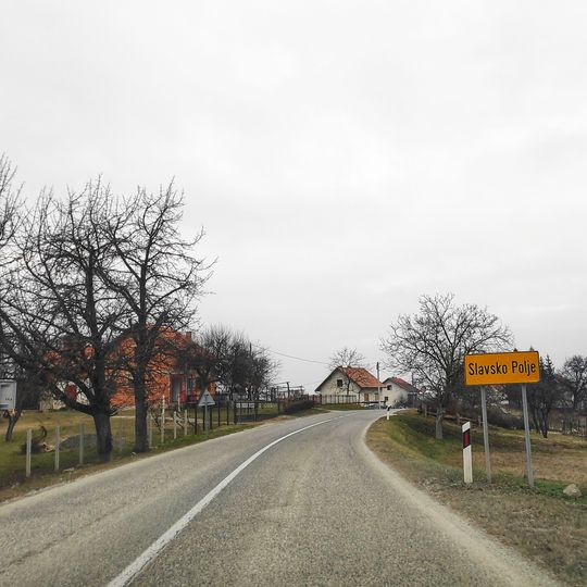 Slavsko Polje
