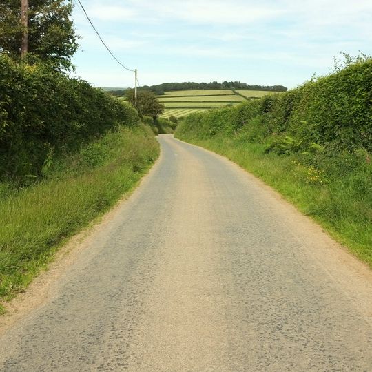 Camp S of Birch Ham Wood