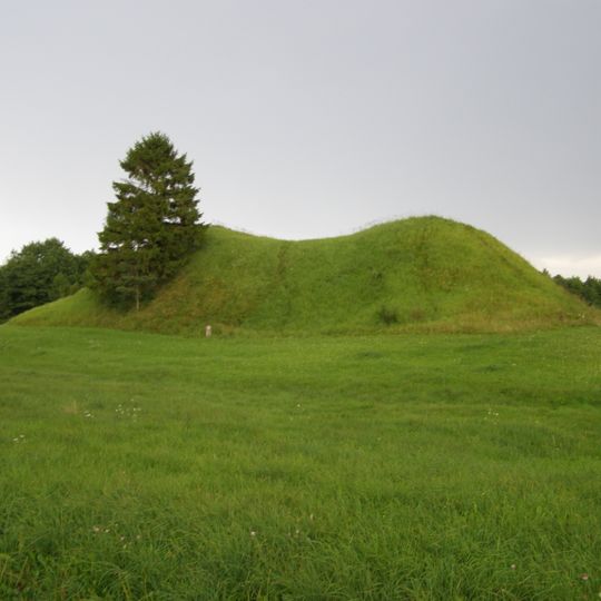 Šakališkiai hillfort