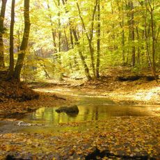 South Chagrin Reservation