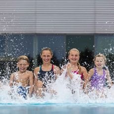 Dithmarscher Wasserwelt