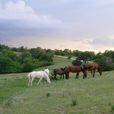 Platte River State Park