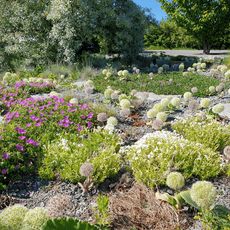 The Knowledge Garden at the Swedish University of Agricultural Sciences