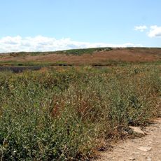 Oluz Höyük