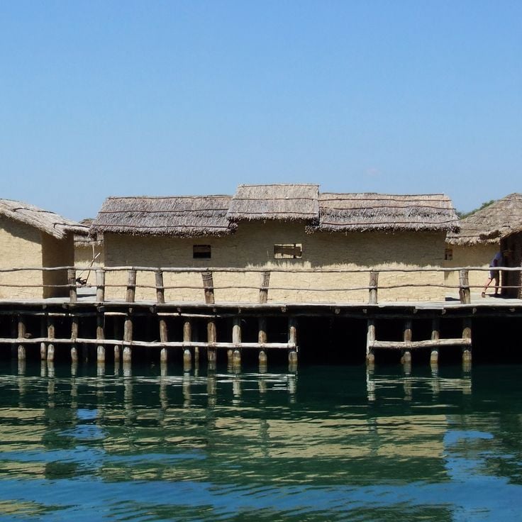 Museum of Prehistoric Life