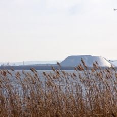 Seefläche Steinhuder Meer