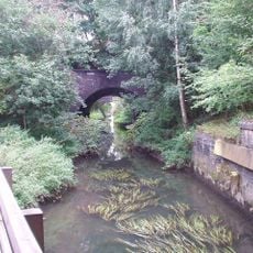 Potteric Carr Nature Reserve