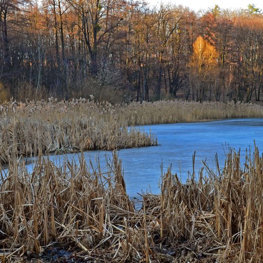 Holosiivskyi National Nature Park