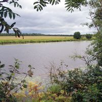 Distrito de Kingiseppsky