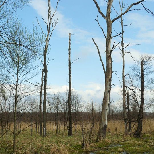 Nature reserve Zabór