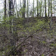 Duboviku pilskalns (Gorodok, Sopka)