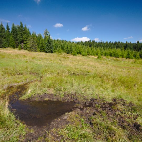 Rašeliniště pod Pětirozcestím