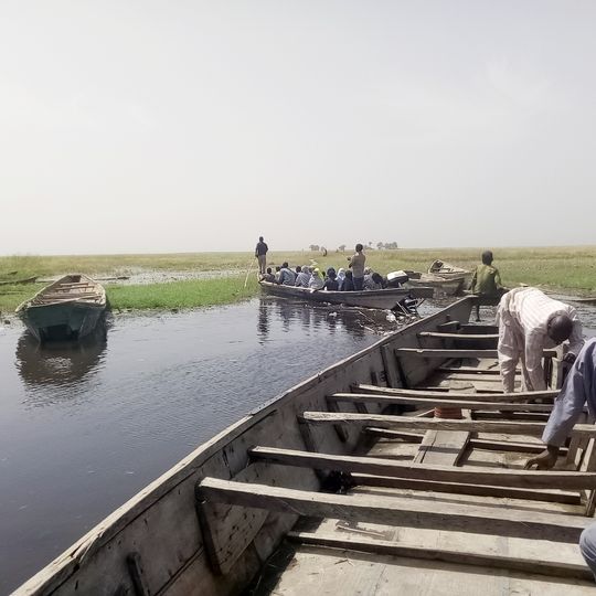 Hadejia-Nguru wetlands