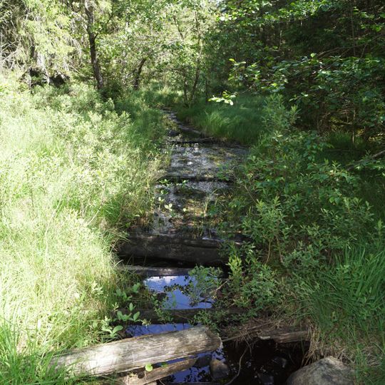 Skårs naturreservat