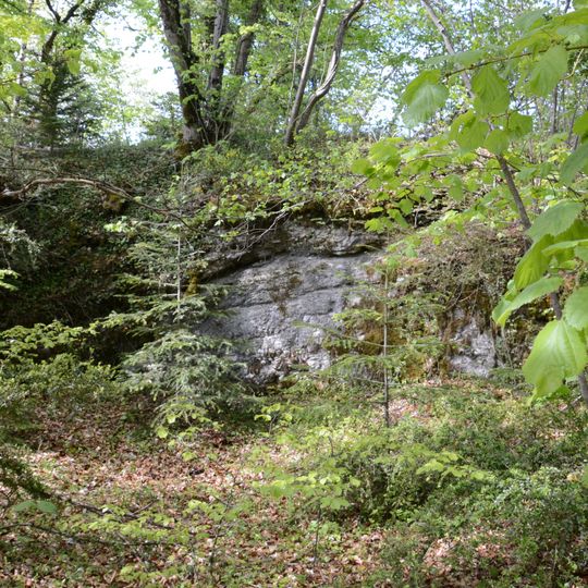 Burgruine Schönenberg