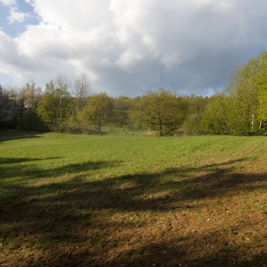 Sang- und Katzengröterwiese von Johannisberg