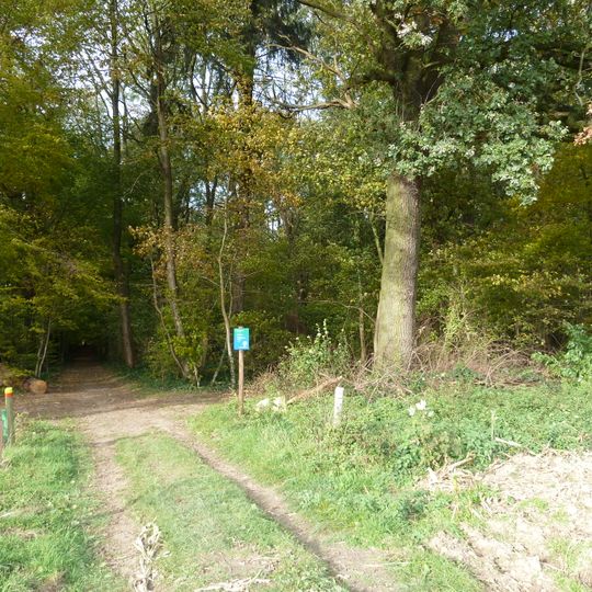 Site with traces of extraction and processing of flint in Biebosch