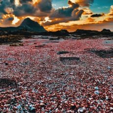 Riserva naturale orientata Monte Cofano