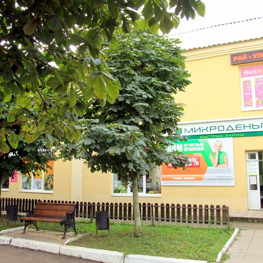 Купеческий дом с магазином