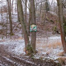 Obrázek u Bouzova u Panského rybníka