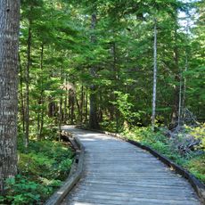 Sterling Munro Trail