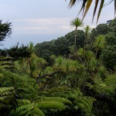 Tiritiri Matangi Island Scientific Reserve