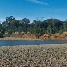 Madidi National Park