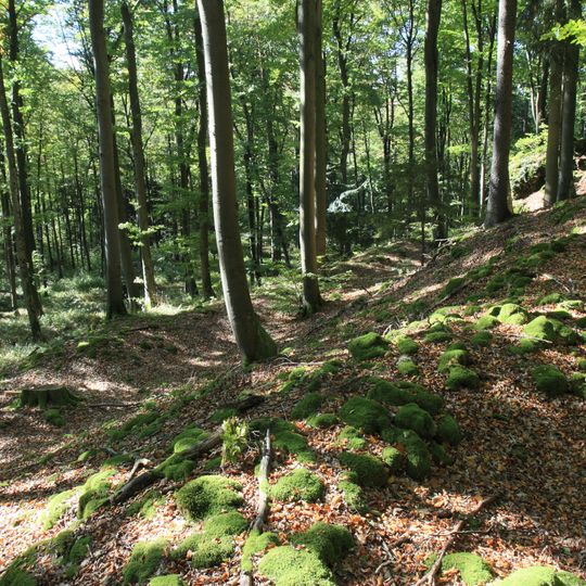 Burgstall Alter Schlossberg