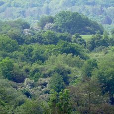 Würzberg bei Garbenheim