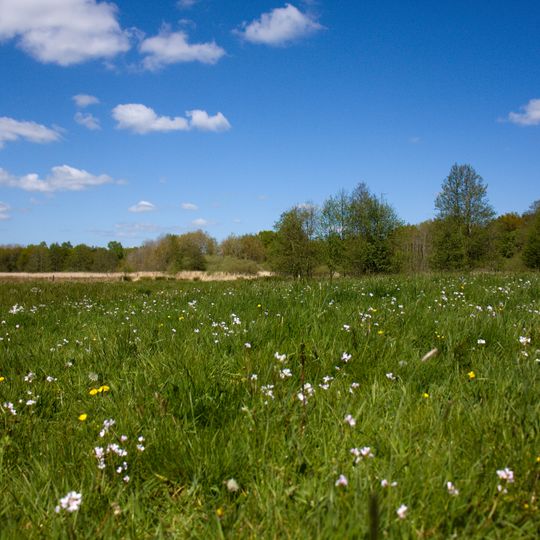 Wennebeker Moor und Wennebekniederung