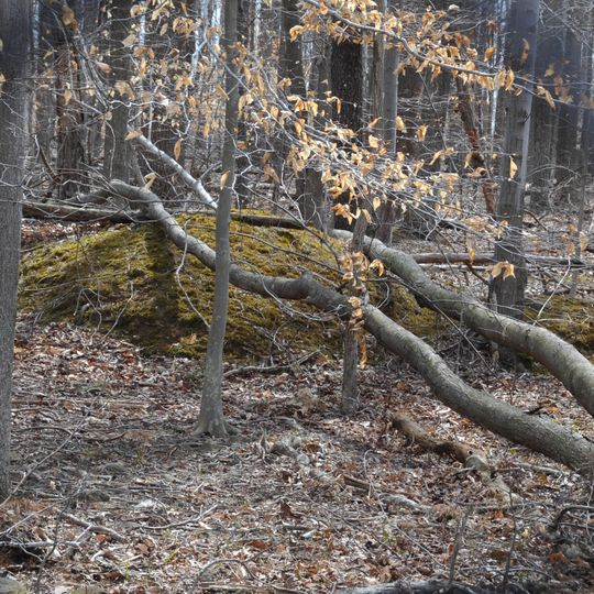 "A" Fort and Battery Hill Redoubt-Camp Early