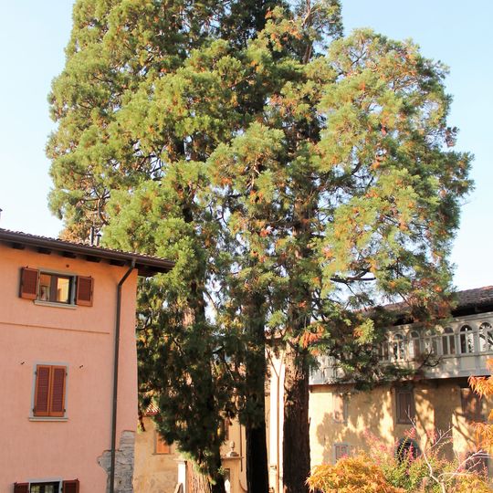 Parco Nastro Azzurro