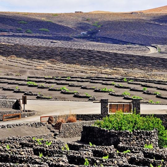 Bodega La Geria - Cave viticole à Yaiza, Espagne