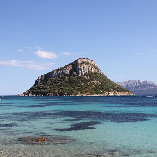 Capo Figari, Cala Sabina, Punta Canigione e Isola Figarolo