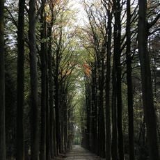 De Inslag