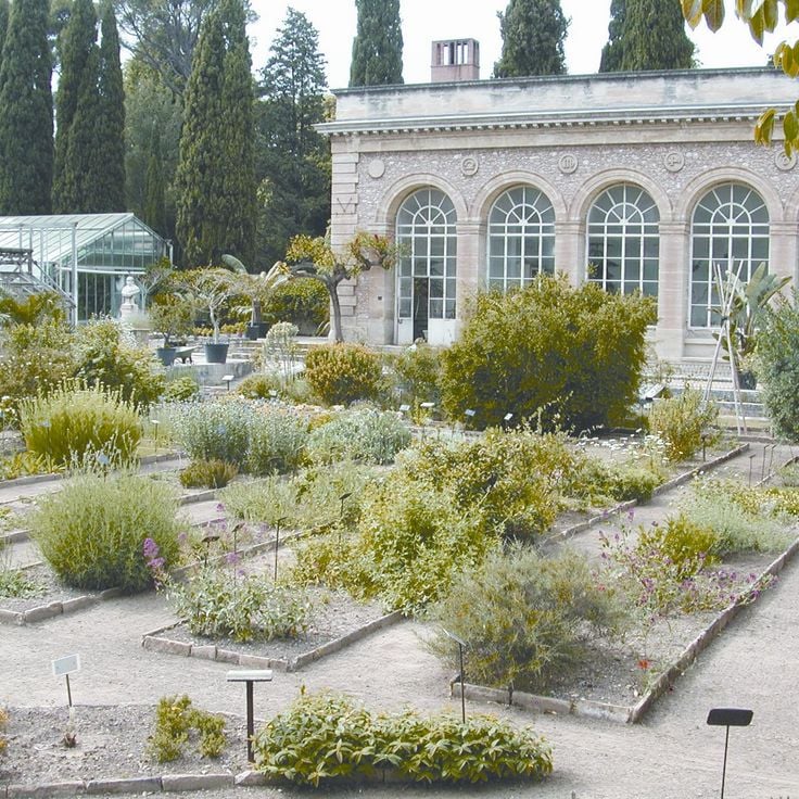 モンペリエ植物園