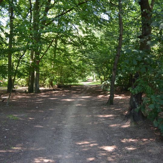 Ättekulla naturreservat