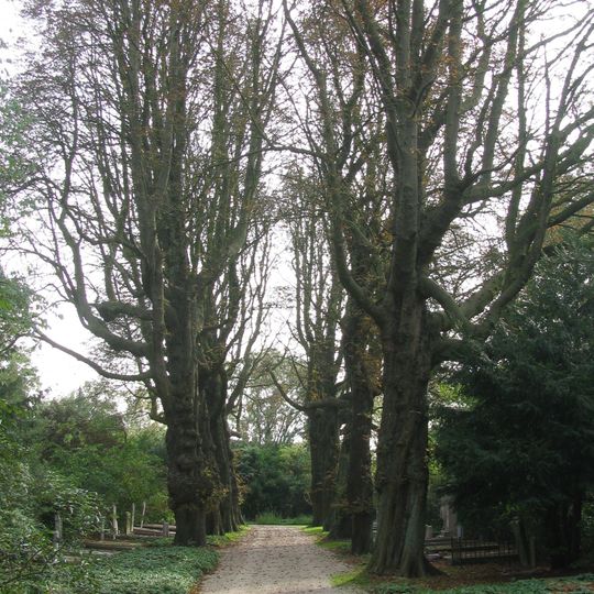 2e Algemene Begraafplaats Kovelswade, aanleg
