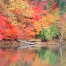 Lake Wylie
