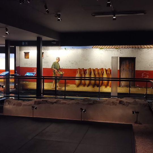 Casa dels Dofins - Museu de Badalona