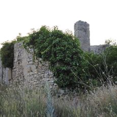 Molí fariner del Petronillo