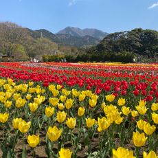 神奈川県立秦野戸川公園