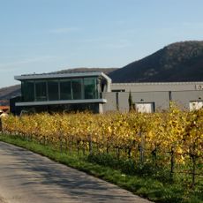 Weingut F. X. Pichler