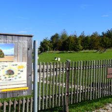 Bavariabuche