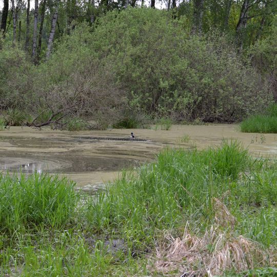 Naturdenkmal Egelpfuhle am Stier